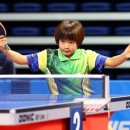 ㈜햇빛관광 이미지