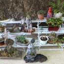 울산양정초등학교 이미지