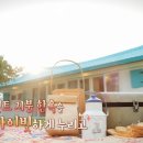민트스테이