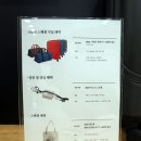 혜성모터스 - 중랑구 겸재로 258 | 도이치모터스 미니 MINI 수원오토월드 전시장, 미니 에디션 관람