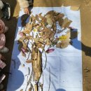 우남키즈빌어린이집 이미지