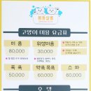 봄동살롱 이미지