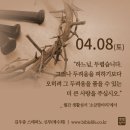 2023년 4월 8일 주님부활대축일 - 파스카 성야 이미지