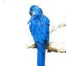 저녁)포토샵 이미지