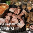 무실동주변길 네이버블로그