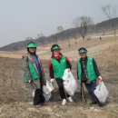 크린 코리아 이미지