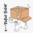 표시는 없어도 아프다 이미지