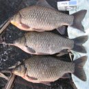 돌모루 3 이미지