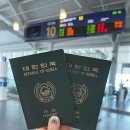 2955 | 제주항공 부산 김해→다낭 7C2955편 후기