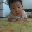 [육아일기] 벌써 100일이네요...감동의 눈물이ㅜ.ㅜ