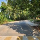 사라실예술촌 이미지