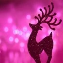 유니크펜션 이미지