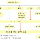 베체트병 원인 증상 치료 베체트병 검사 이미지