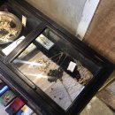 페르마타(fermata) 이미지