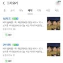 요기가고기가