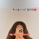 컬러릿 이미지