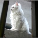 주안3동 이미지