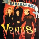 Venus(Bananarama) 이미지