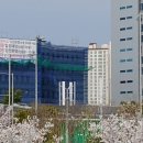 국토안전관리원 본관 이미지