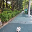 끄레므멍 이미지