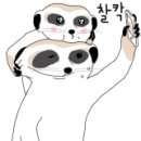 구이점빵 이미지