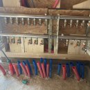 라온하제2호 이미지