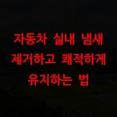 향수친환경(세차장) | 자동차 실내 냄새 제거하고 쾌적하게 유지하는 법