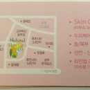 네츄럴스킨 이미지