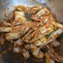 일조유통 | 빛깔찬 햇고춧가루 보통맛으로 만든 겉절이 후기