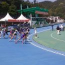 인라인경기장 이미지