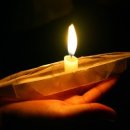 달빛에 물들이고 이미지