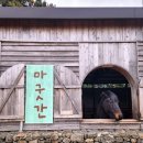 초원승마클럽 이미지
