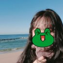 보라로운 이미지