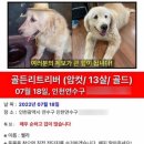 남성건강원 - 고창군 학천로 4 | 남성건강원