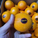 블랙라벨 이미지