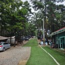 C13 | 인천 오션뷰 깔끔한 숲속 캠핑장, 선재도 트리캠핑장!(명당 C13 이용후기)