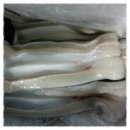 바다&장어 이미지