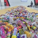 차오름태권도 이미지