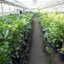 재명농장 이미지