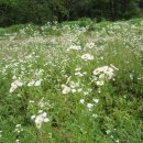 사평분교 이미지