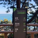 그린레일웨이 | [부산여행] 해운대 블루라인파크 그린레일웨이 산책, 다릿돌 전망대, 미포-청사포-송정 정거장 그리고...