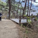 산막이선착장 이미지