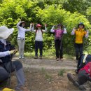 아라메길(3) 이미지