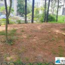 금동어린이공원 이미지