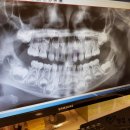 프린스앤프린세스치과의원 이미지