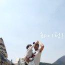 정선목장 이미지