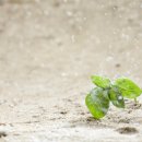 와이메디칼 이미지