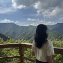 씨스페이스 광주도산점 | 정읍 당일치기 코스 추천: 케이블카,우화정, 세상맛, 미르샘다리, 이오일스페이스