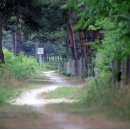 송지호 자전거대여소 이미지