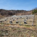 태양광발전소 리파워링 원스톱 시공 사례 (태양광중고모듈매입, 철거, 구조물고철매입, 전기실해체 등) 이미지